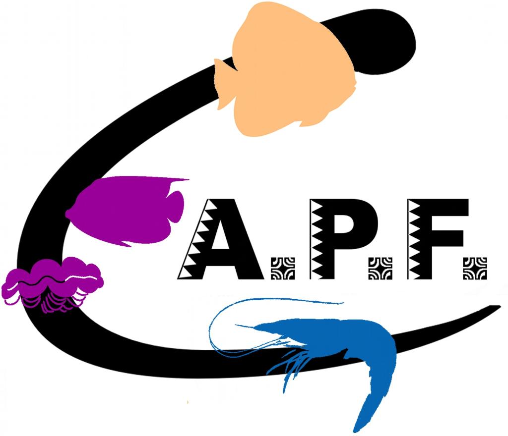 My Website